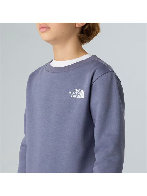 teen simple dome crew THE NORTH FACE | NF0A8AXYBTR1BTR